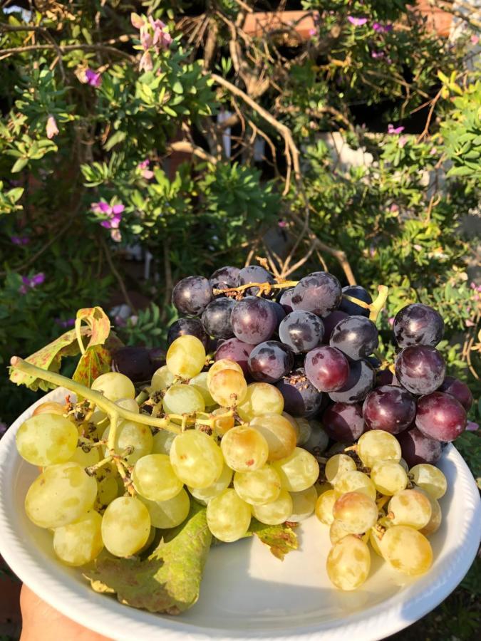 Agriturismo Is Cortillaris Càbras Eksteriør bilde
