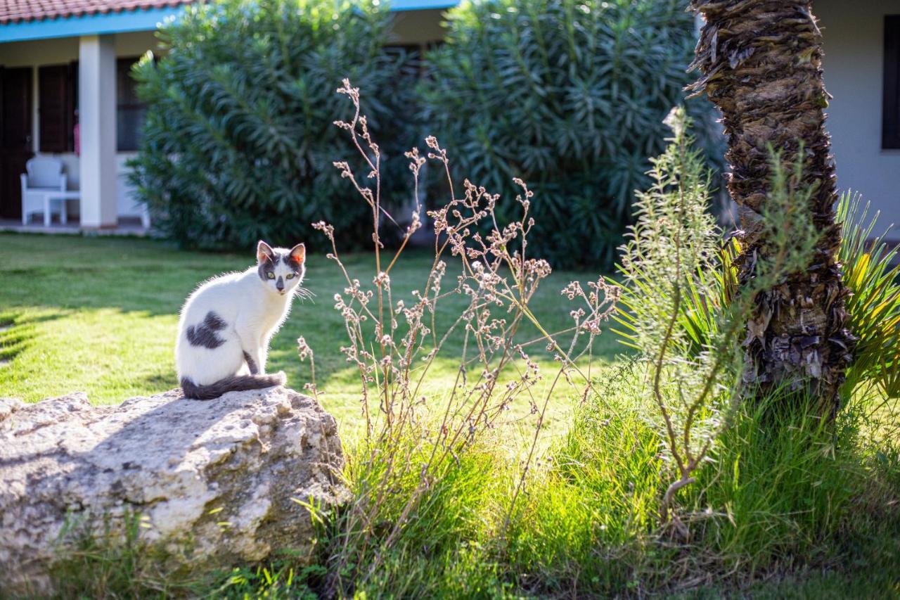 Agriturismo Is Cortillaris Càbras Eksteriør bilde